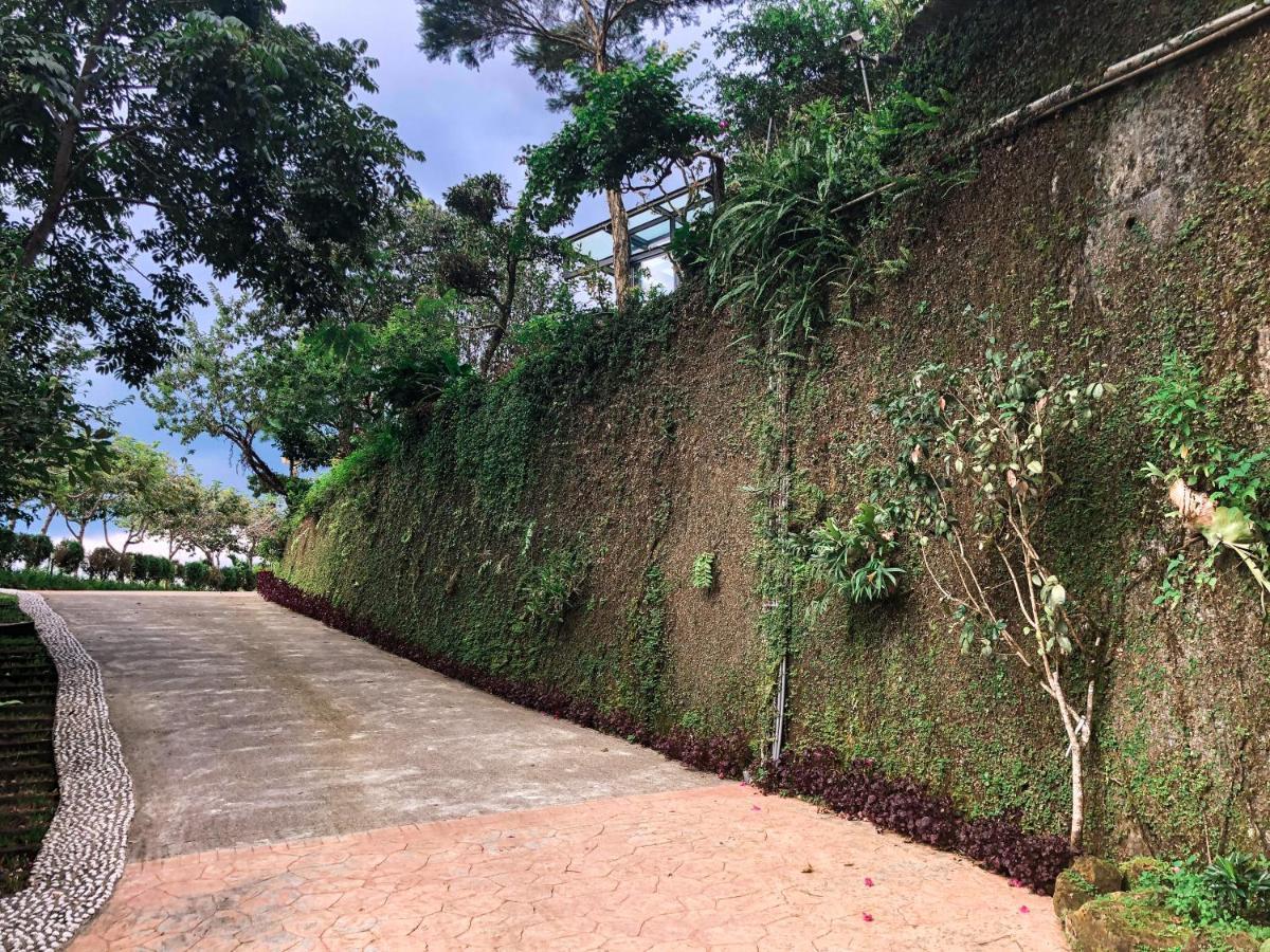 溪頭吉野民宿ji-Ye Lugu Exterior foto